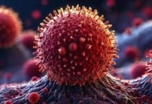 سحب جديد لبراعم الفجل في الولايات المتحدة بسبب E. coli والسالمونيلا.. FDA توسع تحذيراً غذائياً