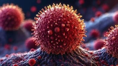 سحب جديد لبراعم الفجل في الولايات المتحدة بسبب E. coli والسالمونيلا.. FDA توسع تحذيراً غذائياً