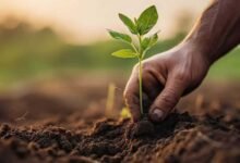 لبنان يدفع نحو الزراعة التعاقدية لربط المزارعين بالإمارات والخليج